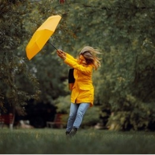 Cod galben de ploi și vânt puternic în județul Neamț între 7 și 9 octombrie