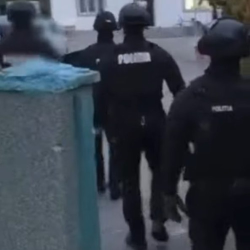 Percheziții la patru adrese din Vâlcea într-un dosar de contrabandă cu lemne