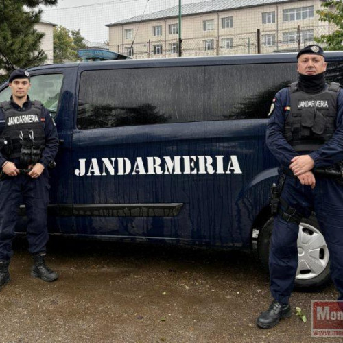 Elev de 15 ani agresat în Dorohoi, agresor prins rapid de jandarmi