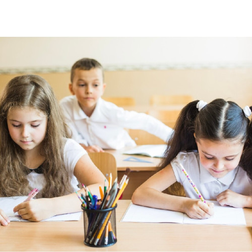 Ministrul Educației anunță suspendarea cursurilor fizice în șase județe din cauza codului roșu