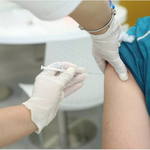 Proiectul „Generația fără HPV” aduce informare și prevenție la Festifall Oradea