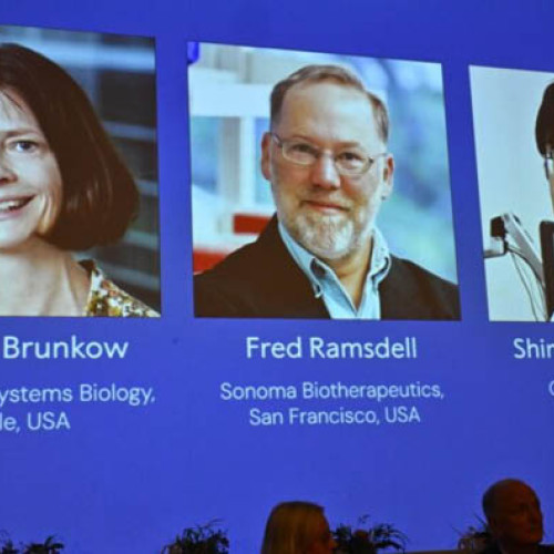 Trei oameni de știință recompensați cu Nobel pentru descoperiri în imunologie