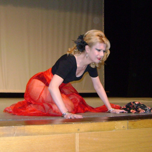 Dorina Roman combină teatrul clasic cu umorul modern în spectacolele sale