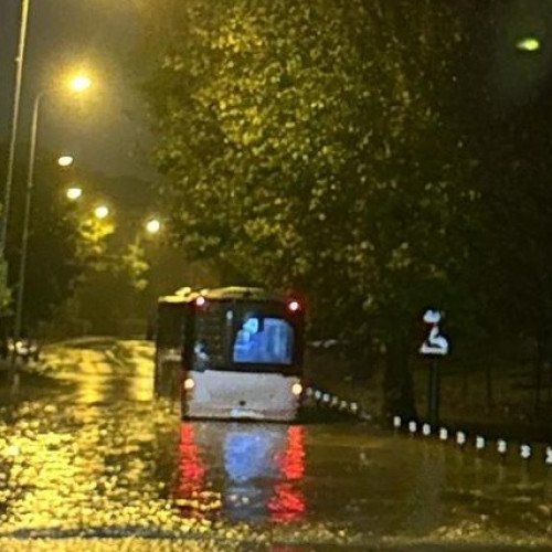 Programul CT BUS reluat după codul roșu, cu recomandări pentru călători