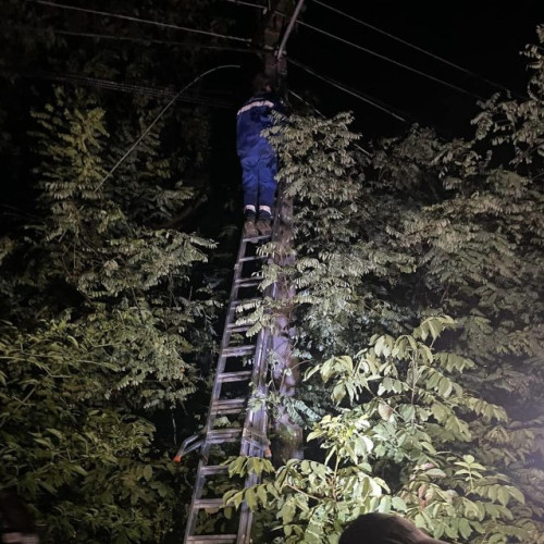 Curentul electric întrerupt în satul Stupina din cauza vântului puternic