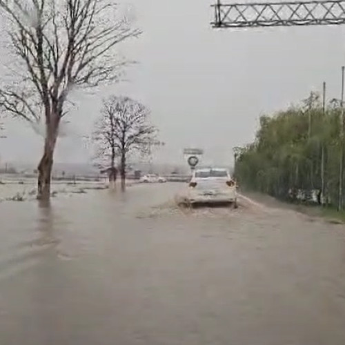 DRDP Constanța ia măsuri speciale pentru codurile roșu și portocaliu de ploi abundente