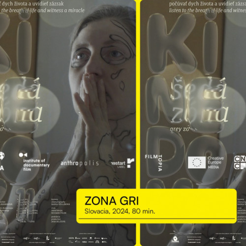 Documentar despre nașterile premature, proiectat la Muzeul de Artă Vizuală Galați