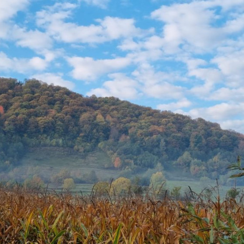 Temperaturi sub mediile obișnuite și ploi în toată țara în octombrie