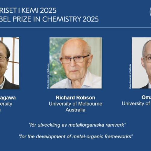 Cercetătorii Kitagawa, Robson și Yaghi câștigă Nobelul pentru chimie în 2025