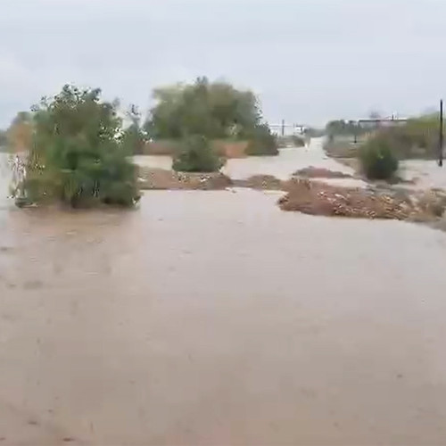 Inundații blochează accesul în comuna Siliștea și afectează mai multe drumuri