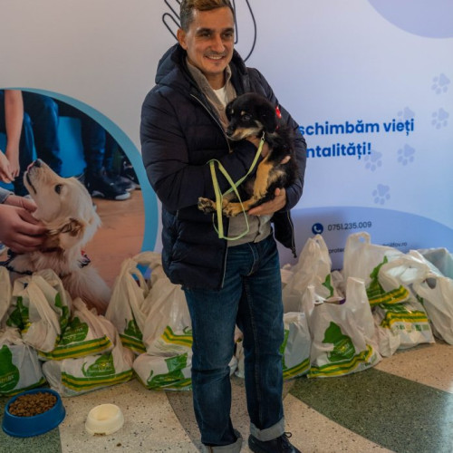 Ilfov: Adopțiile gratuite de animale au adus speranță pentru animale abandonate