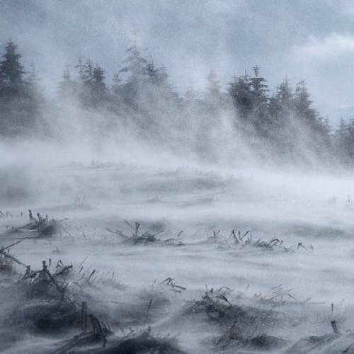 Cod galben de vânt puternic în zona montană a județului Dâmbovița