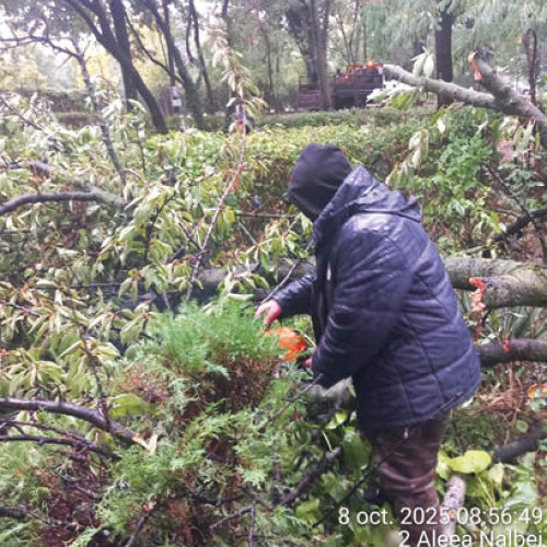 Autor necunoscut confirmă știrea fără detalii suplimentare