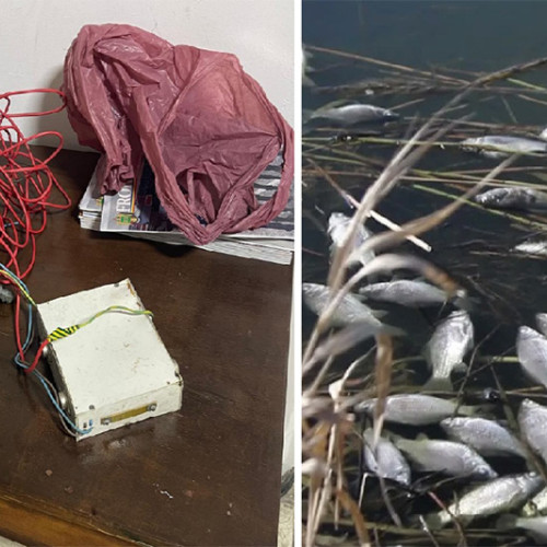 Bărbat prins la Cernavodă pescuind ilegal cu dispozitiv electric