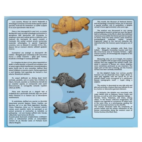 Descoperire arheologică la Constanța: un delfin simbolic în necropola romană Tomis