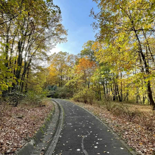 Temperaturi până la 17 grade în acest weekend în Alba, cu ploi la munte