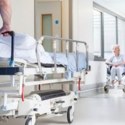 Pericolul Candida auris, ciuperca spitalicească greu de tratat și controlat