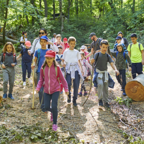 Programele „Școala altfel” și „Săptămâna verde” vor fi implementate în anul școlar 2025-2026