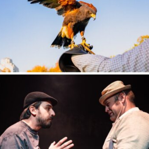 Bacău fără evenimente de aniversare pentru 617 ani de la prima atestare