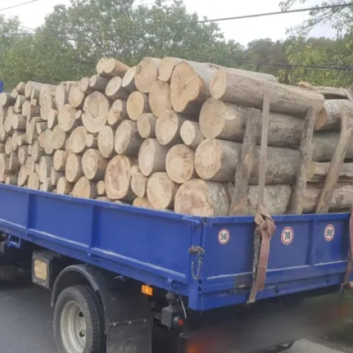 Bărbat din Cluj-Napoca prins transportând ilegal lemn în Ciurila