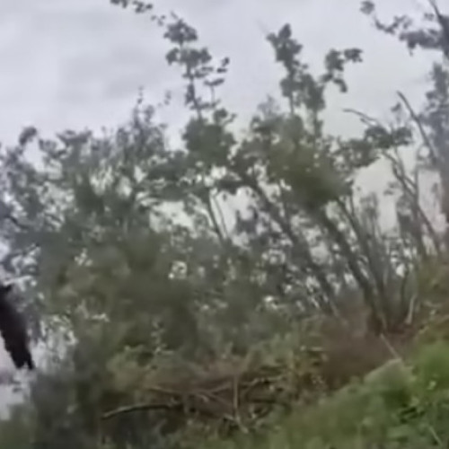 Forțele speciale ucrainene au respins un atac inamic în Iampil, regiunea Donețk