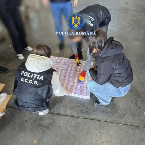 Descoperire uriașă de bancnote false în Portul Constanța Sud