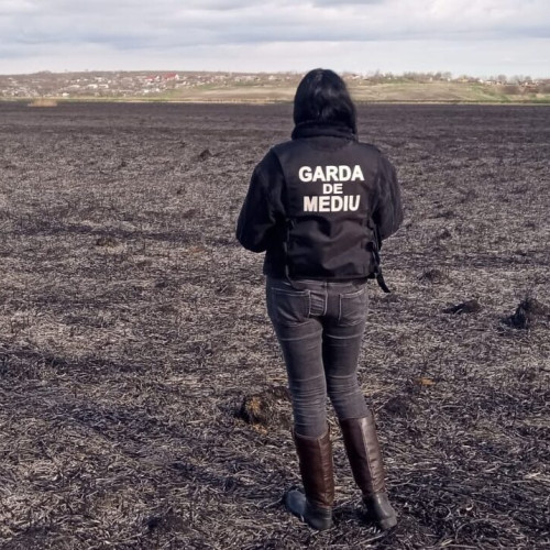 Garda de Mediu Botoșani a aplicat peste 200 de sancțiuni în primele nouă luni din 2025