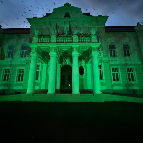 Șase clădiri ale ULBS iluminate în verde de Ziua Mondială a Sănătății Mintale
