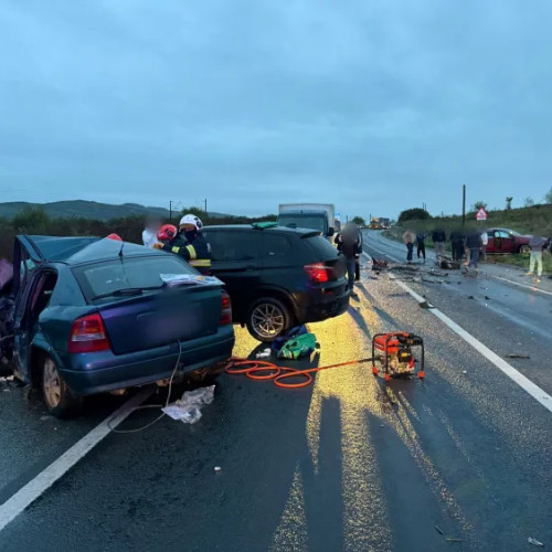 Informare finală despre accidentul din Livada