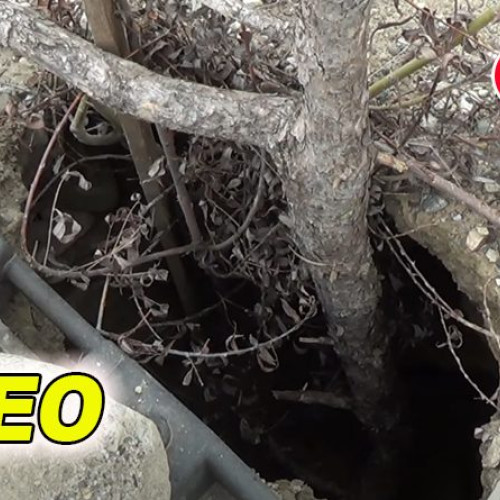 Pericol pe drumul județean de la Lopătari: o prăbușire a carosabilului amenință circulația