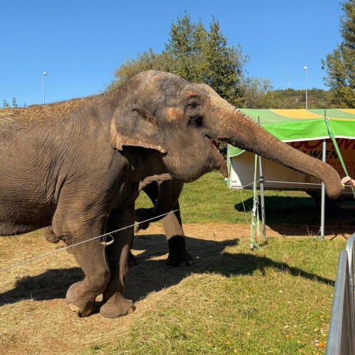 Zoo Park Bistrița deschide porțile pentru o experiență exotică în familie