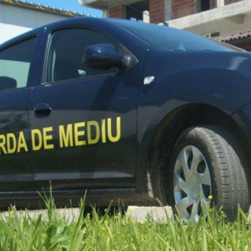 Firmă din Galați amendată cu 100.000 lei pentru lipsa autorizației de mediu