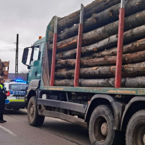 Amendă de 10.000 de lei pentru nereguli în exploatarea lemnului în județul Bacău