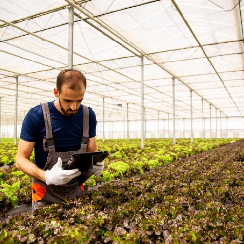 UE alocă fonduri substanțiale pentru pagubele agricole din șase țări membre