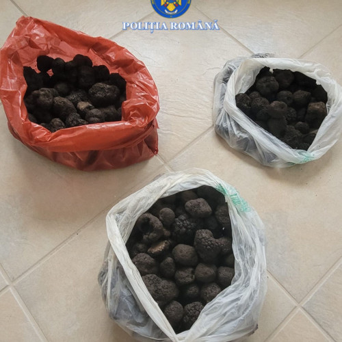 Amendă de 13.000 de lei pentru cei prinși cu trufe fără acte legale