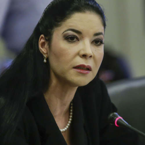 Document fals despre Ana Birchall eliminat din registrul Departamentului de Justiție al SUA