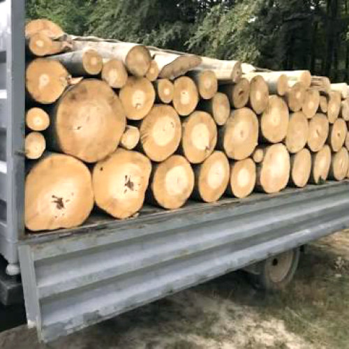 Primăriile asigură condiții mai bune pentru elevi în localitățile lor