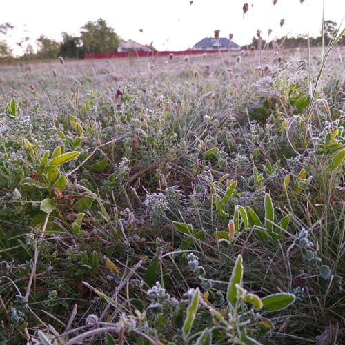 Un val de aer polar aduce temperaturi scăzute în toată țara săptămâna viitoare
