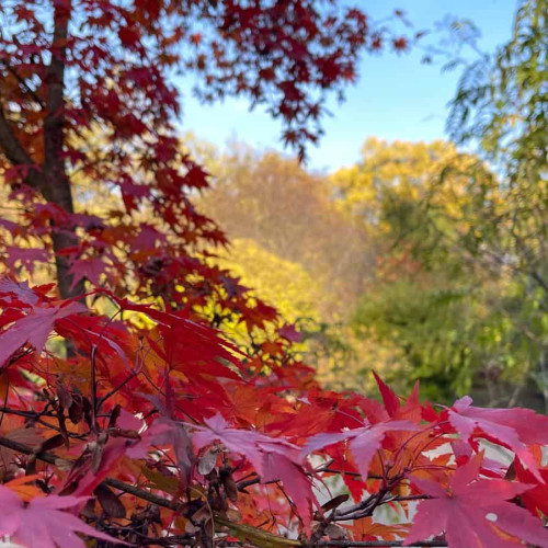 Vreme de toamnă autentică în județul Alba: nopți reci și weekend cu soare