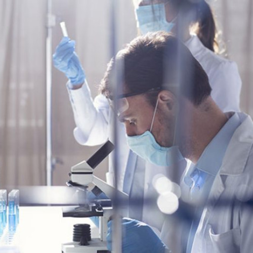 Șobolanii cârtiță golași pot trăi până la 40 de ani datorită unui mecanism unic de reparare a ADN-ului