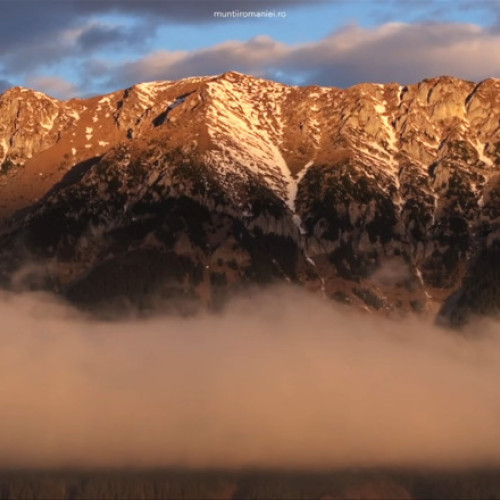 Cercetătorii observă înverzirea accelerată a peisajelor alpine din Carpați