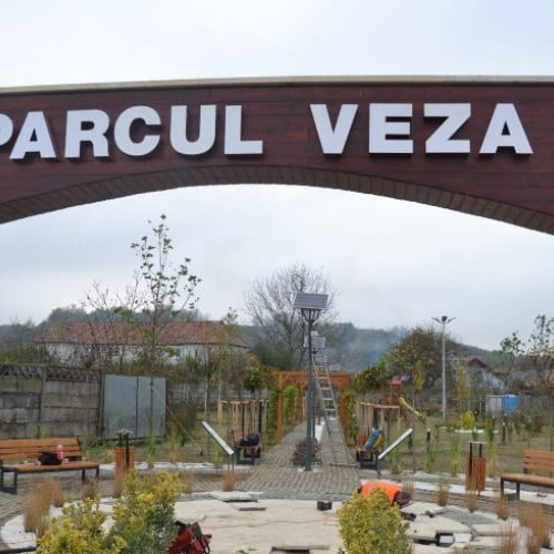 Tânăr din Jidvei reținut după ce a tăiat un copac ornamental în parcul din Blaj