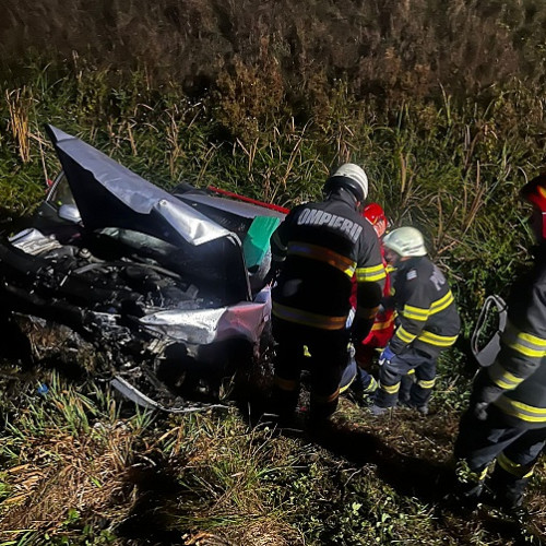 Pompierii sătmăreni au intervenit în 80 de situații de urgență în trei zile