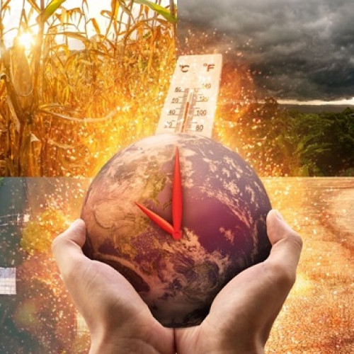 Raport internațional avertizează asupra colapsului climatic și distrugerii recifelor de corali