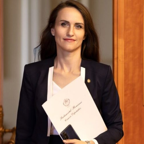 România va publica lista achizițiilor din programul SFE până la finalul lunii noiembrie