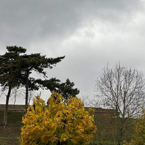 Vremea se răcește până la finalul lunii octombrie în toată țara, cu ploi și ninsori la munte