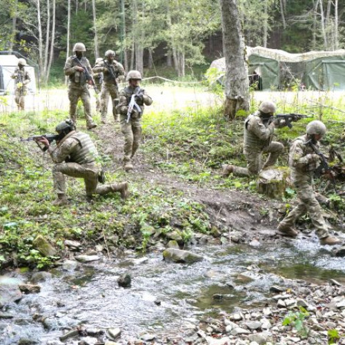 Majoritatea românilor resping reintroducerea stagiului militar obligatoriu