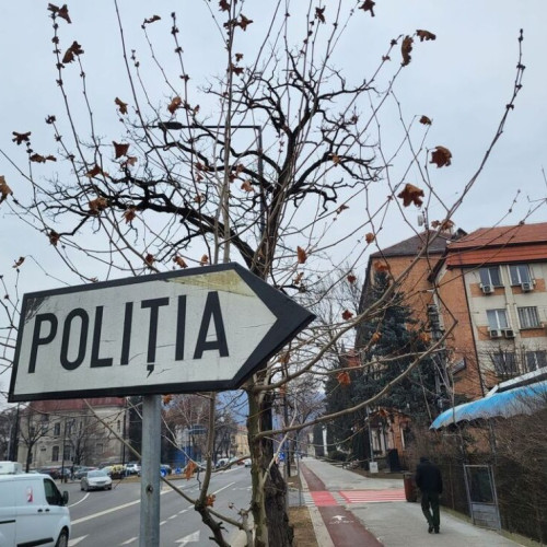 Doi bărbați amendați după ce au tăiat ilegal arbori în Sebiș