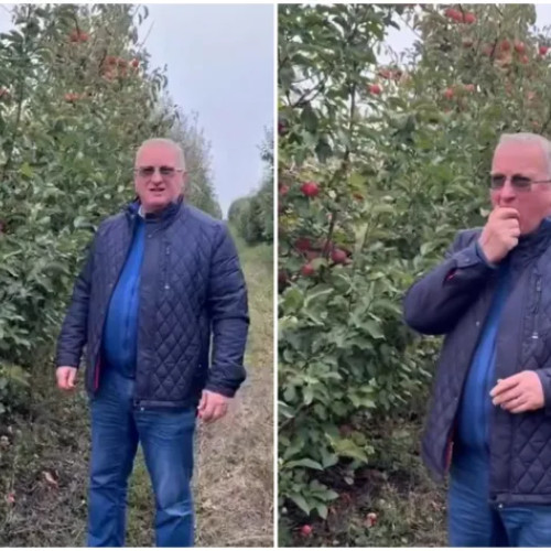 Deputatul Remus Lăpușan promovează merele din Câmpenești în cadrul unui turneu județean