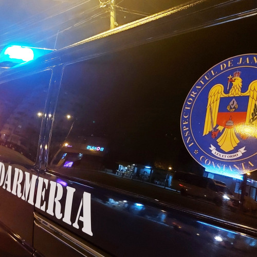 Jandarmii din Constanța au depistat substanțe cu potențial psihoactiv asupra a trei bărbați